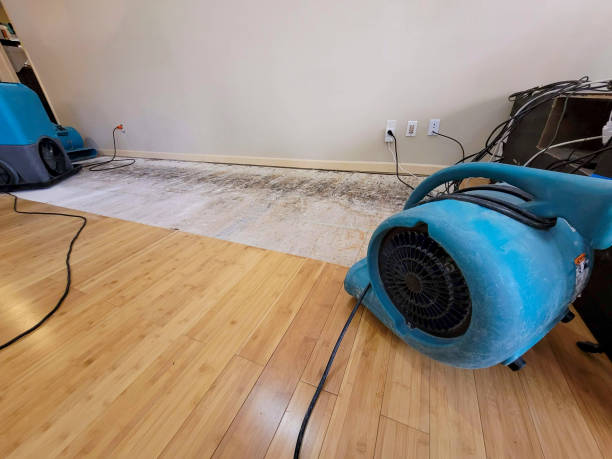 Professional Water Extraction technician working in Goshen, IN
